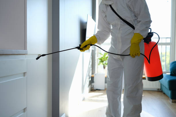 Best Professional Mold Removal  in Sheffield, AL